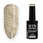 209 NTN Premium