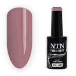 210 NTN Premium