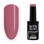 211 NTN Premium