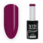 204 NTN Premium