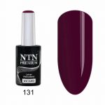 131 NTN Premium