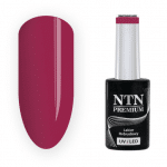 207 NTN Premium