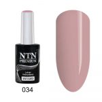 034 NTN Premium