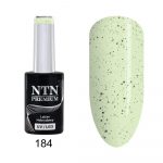 184 NTN Premium