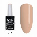 017 NTN Premium