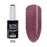 055 NTN Premium