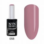 058 NTN Premium