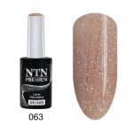 063 NTN Premium