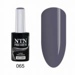 065 NTN Premium