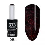068 NTN Premium