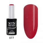 077 NTN Premium