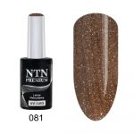 081 NTN Premium