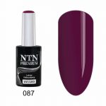 087 NTN Premium