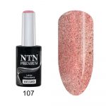 107 NTN Premium