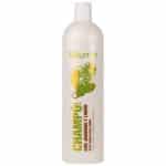 Champú Jengibre y Limón Blumin 1L