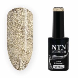 209 NTN Premium - Imagen 1