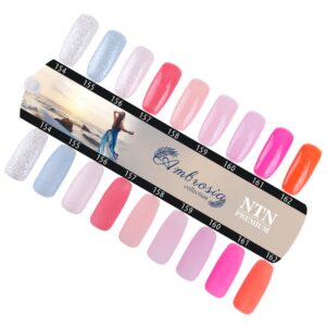 162 NTN Premium - Imagen 2