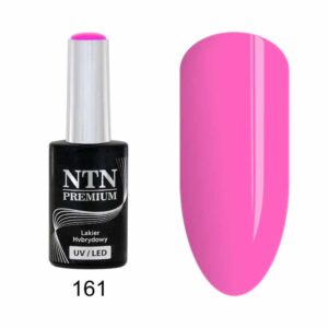 161 NTN Premium - Imagen 1