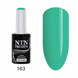 163 NTN Premium - Imagen 1