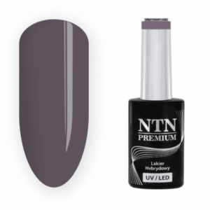 201 NTN Premium - Imagen 1