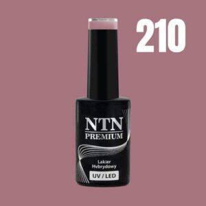 210 NTN Premium - Imagen 3