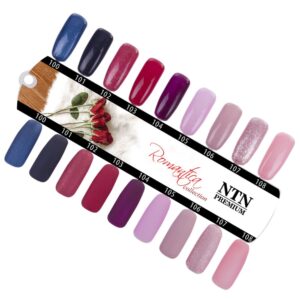105 NTN Premium - Imagen 2