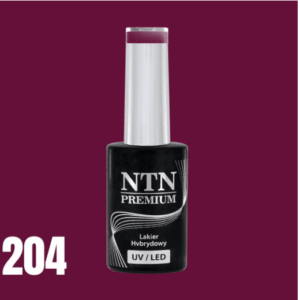 204 NTN Premium - Imagen 4