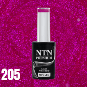 205 NTN Premium - Imagen 4