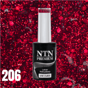 206 NTN Premium - Imagen 4