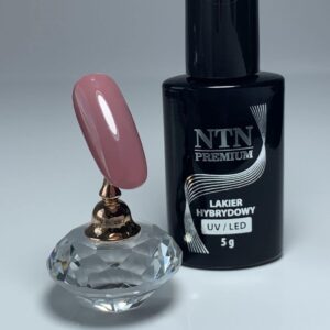 011 NTN Premium - Imagen 2
