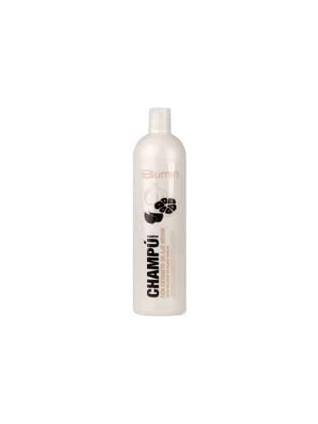 champu-antioxidante-con-extracto-de-ajo-negro-1000ml-blumin