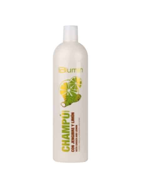 champu-jengibre-y-limon-1000ml-blumin